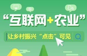 认养优达——认养农业新模式